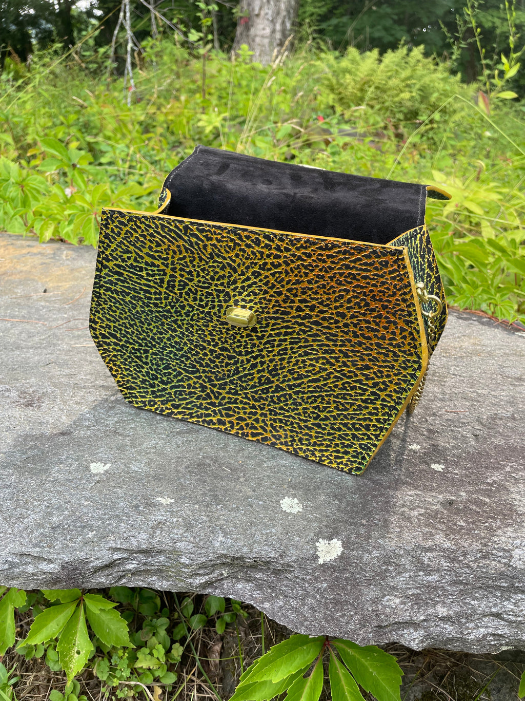 Dragonfly Iridescent EP Hex Bag